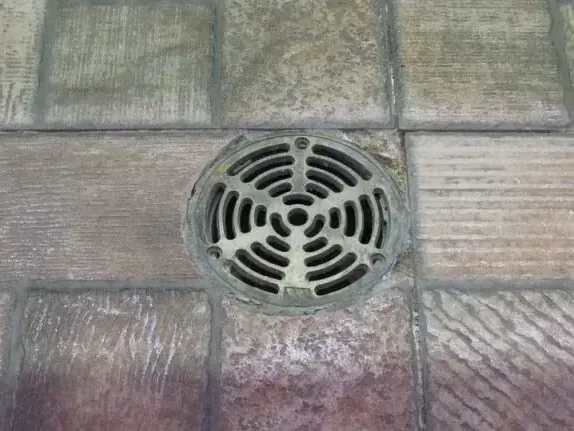 Floor drain grate in a basement slab, where a sewer backup often surfaces first