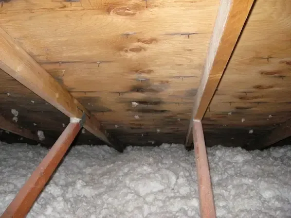 Attic of a home showing water damage from a roof leak
